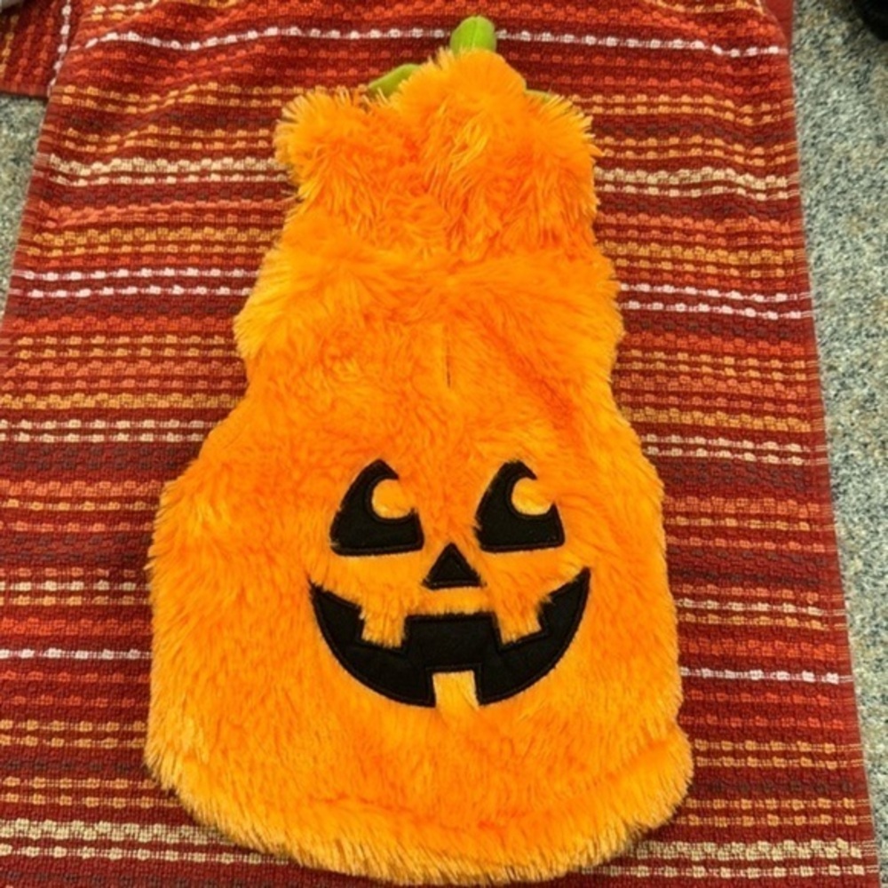Pup Crew Size XS Pumpkin costume for dogs